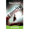 E-kniha V ohrožení - Rebecca Zanetti