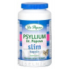 DR. POPOV PSYLLIUM SLIM cps 1x120 ks