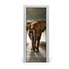 Samolepiace fototapety na dvere chodiaci slon 75x205