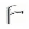 Hansgrohe Focus 31806000