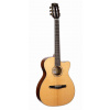Cort Gold OC8