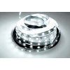 Brolux Led pásik 1m 12V SMD 5630 60LED/m 15W/m 6000K Studená biela IP20, BW005648 Zvoľte variantu: Predaj na 5m rolky