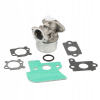 Karburátor pre BRIGGS STRATTON 694202 693909 692648 499617 790120.~12387