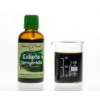 Eclipta (Eklipta - Bhrngarádža) - bylinné kapky (tinktura) 50 ml - doplněk stravy