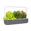 SMART GARDEN 9 inteligentný kvetináč na bylinky Click and Grow Farba: Šedá