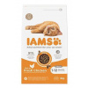 Iams Cat Kitten Kuracie 3kg