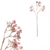 Autronic Gypsophila - s pozlátením, ružová kvietka UKH017 PINK