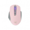 White Shark Gareth Pink GM-5009