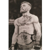 CUKROVÁ TLAČ Opłatek na Tort Cukrová hmota UFC Conor McGregor MMA + MENO