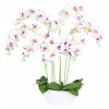 Orchid umelý v hrnci kvetina orchidea biela (Orchid umelý v hrnci kvetina orchidea biela)
