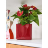 Kvetináč Lechuza Cube Glossy 14 All inclusive set scarlet red high-gloss 14x14x14 cm