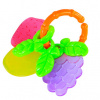 Rappa ovocia RP218314
