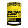 Viaczložkový prášok Napalm Amino 13+Electrolytes FA Nutrition 450 g liči
