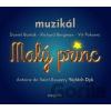 Malý Princ / Muzikál - Barták, Bergman, Pokorný