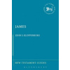 James (New Testament Guides) (KLOPPENBORG JOHN S)(Pevná)