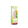 Regenerácia a rekonvalescencia - bylinné kvapky DR. POPOV 50 ml