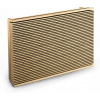 Bang & Olufsen Beosound Level