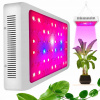 Lampa na pestovanie rastlín - Panelový lampa pre rast HEVA 60 -kladených UV rastlín (Panelový lampa pre rast HEVA 60 -kladených UV rastlín)