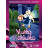 Muška Svetluška