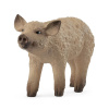 Schleich 14893 zvieratko prasiatko Mangalica