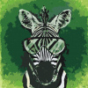 Vymalujsisam.sk Maľovanie podľa čísiel - Zebra s okuliarmi Veľkosť: 50x50cm, Rám: Bez rámu, iba zrolované plátno