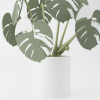 Monstera Magnetica – 3D Tlačená Dekorácia & Podložky pod Poháre Farba listov: zelená, Vyber typ kvetináča: Classic, Vyber farbu kvetináča: biela