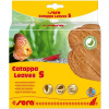 Sera Catappa Leaves S 14 cm, 10 ks