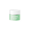 Biofresh Ltd. Uhorkový denný krém na tvár 50 ml Biofresh krém