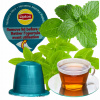 HERBATA W KAPSUŁKACH LIPTON PRE KÁVOVAR NESPRESSO KOMPATIBILNÝ VERBENA MINT
