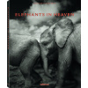 Elephants in Heaven
