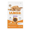 Iams Cat Adult Hairball Chicken 3kg