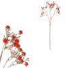 Autronic Gypsophila - s pozlátením, červená kvietka UKH017 RED