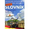 Nemecko-slovenský a slovensko-nemecký školský slovník - Kolektív