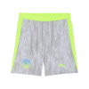 Puma Manchester City Third Shorts 2025 2026 Adults Grey/Green S