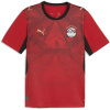 Puma Mens Egypt Home Shirt World Cup 2026™ Red/White M