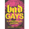 Bad Gays - Ben Miller, Huw Lemmey