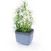 Gusta Garden GG-123F10