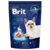 Brit Premium (VAFO Praha s.r.o.) Brit Premium Cat by Nature Sensitive Lamb 800g