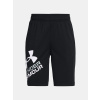 Detské kraťasy Under Armour Prototype 2.0 Logo Shorts 001 YLG - L
