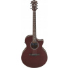 IBANEZ AE100 BUF ELEKTROAKUSTICKÁ GITARA