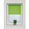 Egibi Roleta MINI Rainbow Line 73 x 150 cm zelená