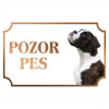 Boxer - Kovová tabuľka POZOR PES