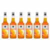 6 x barmanský sirup RIOBA na nápoje MANGO 0,7 l