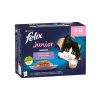 Felix Fantastic Junior lahodný výběr v želé 12x85 g