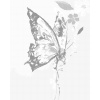 ZUTY Bodkovanie - KVETINOVÝ MOTÝĽ Rámovanie: vypnuté plátno na rám, Rozmer: 80x100 cm
