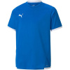 Puma teamLIGA Jersey Jr. 704925 02 (131304) Black/Green 116cm