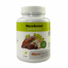MycoMedica MycoSomat 90 toboliek