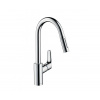 Hansgrohe Focus 31815000