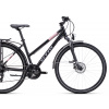 Bicykel CTM Maxima 3.0 Trek Matná Čierna / Lesklá Staroružová 2025 M