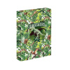 BAAGL A-31750 Jumbo Dinosaurus, box na zošity A4, s gumičkou